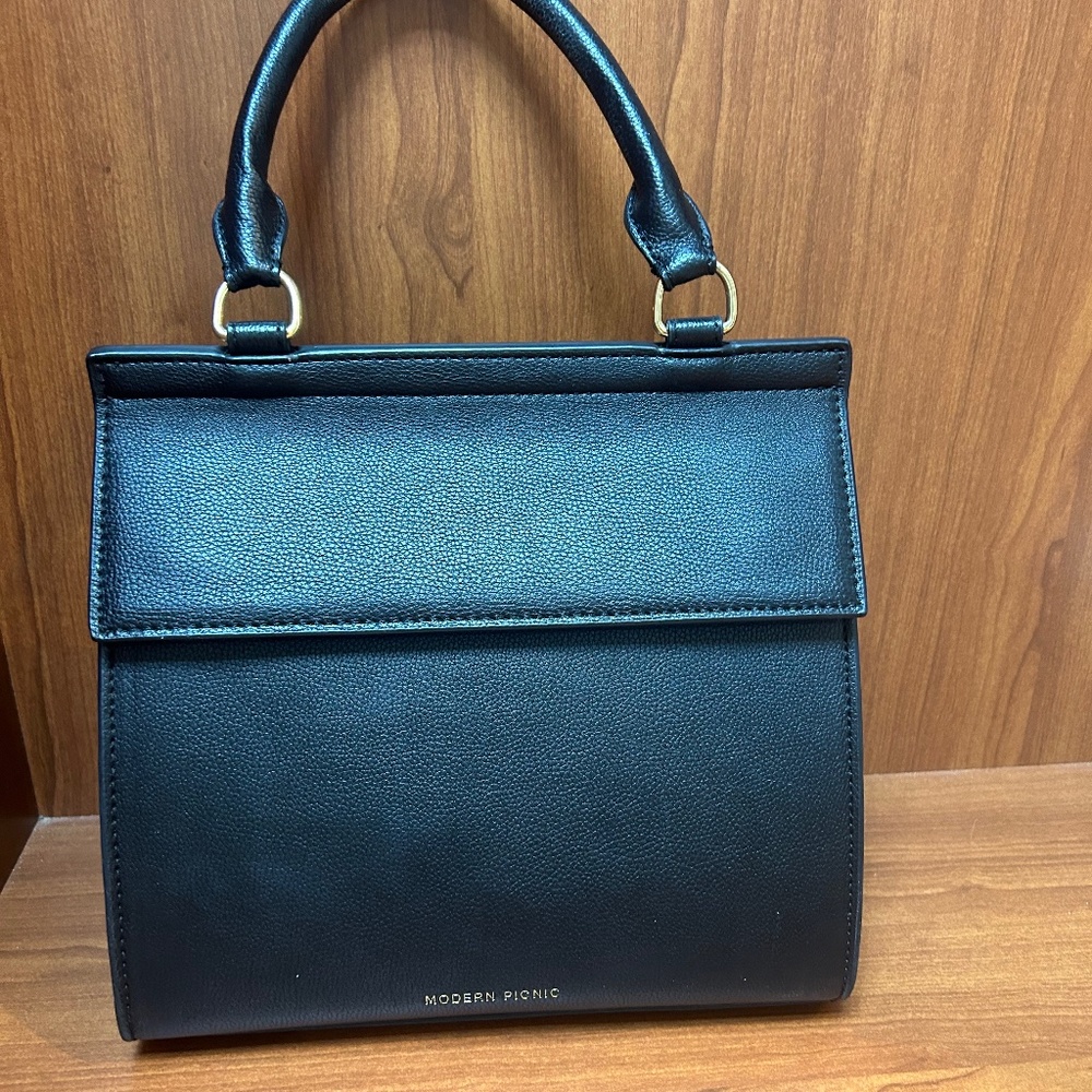 Modern Picnic purse-style lunchbox